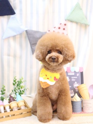 20250503こじろうくん